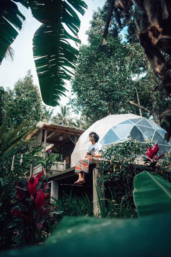 Vakantiepark Bali Jungle By Amerta Experience *