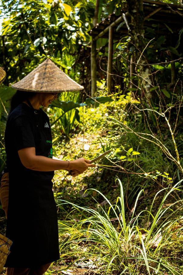 Vakantiepark Bali Jungle By Amerta Experience Selemadeg