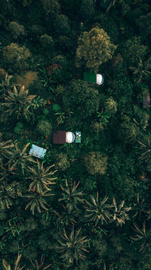 Bali Jungle By Amerta Experience
