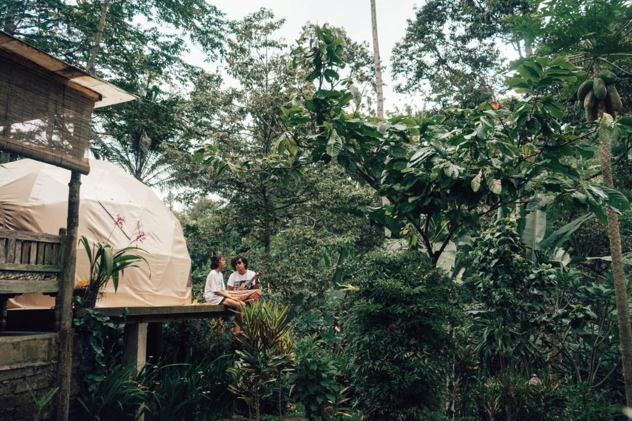 Bali Jungle By Amerta Experience