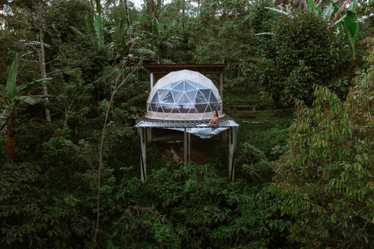 Bali Jungle By Amerta Experience *
