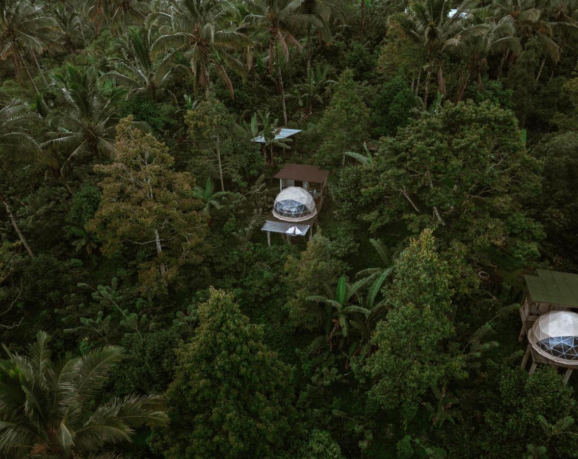 Bali Jungle By Amerta Experience Selemadeg