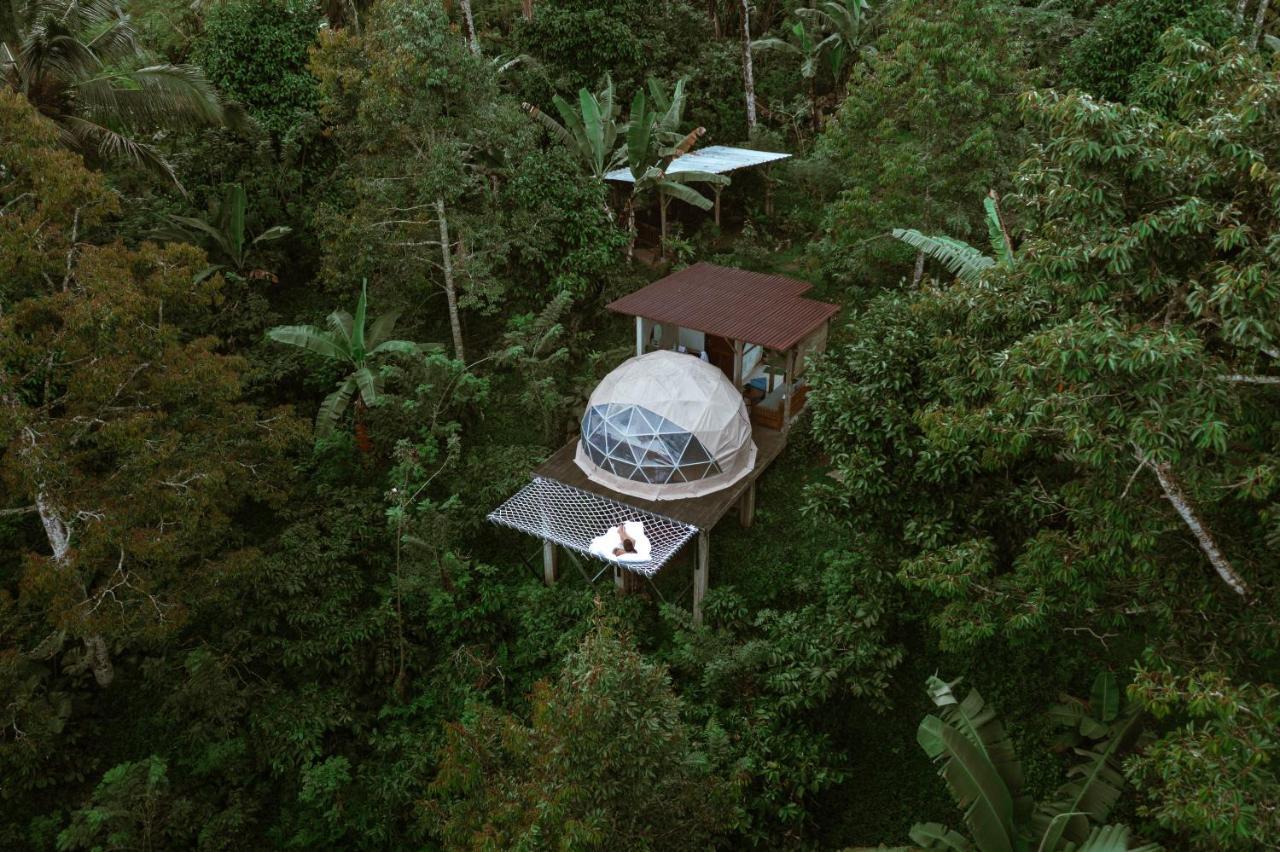 Bali Jungle By Amerta Experience Vakantiepark Selemadeg