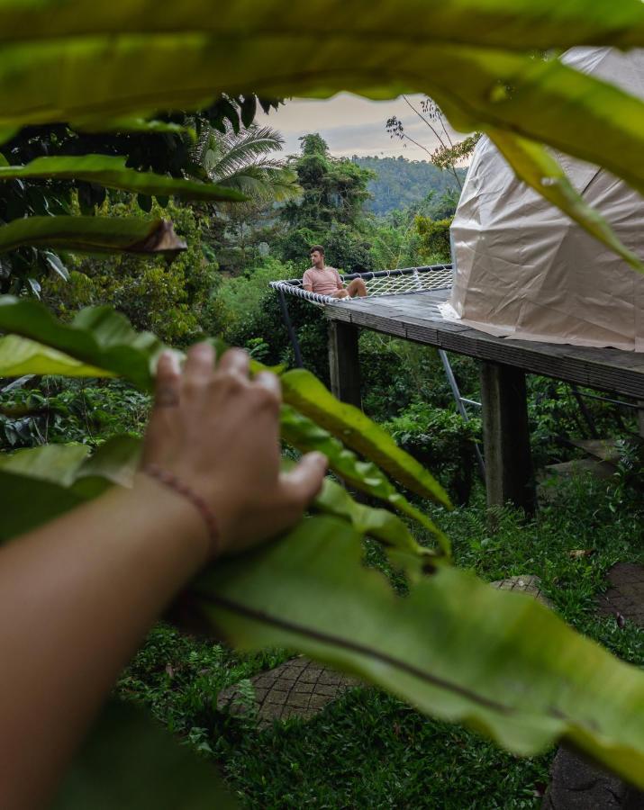 Bali Jungle By Amerta Experience Vakantiepark *