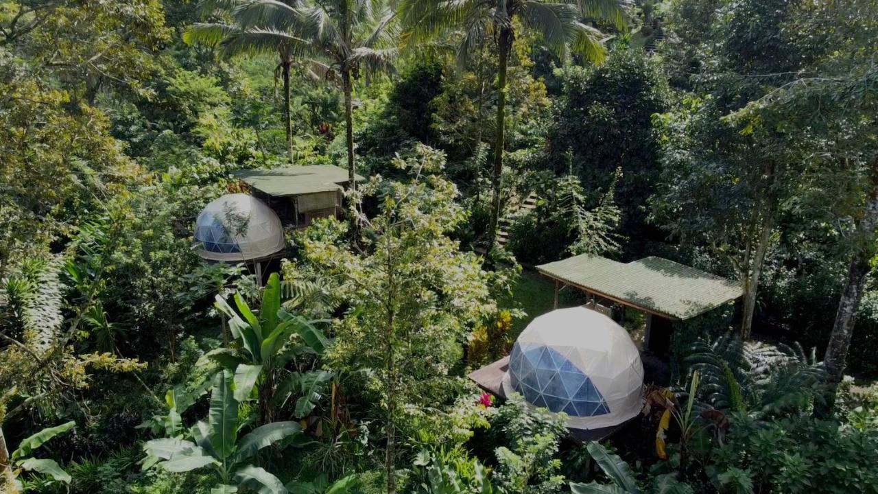 Vakantiepark Bali Jungle By Amerta Experience