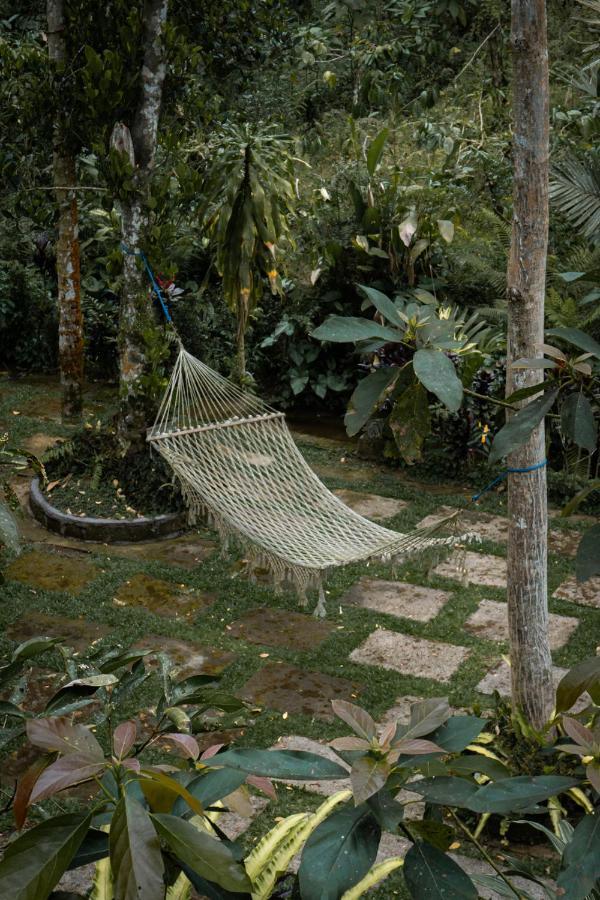 Vakantiepark Bali Jungle By Amerta Experience *