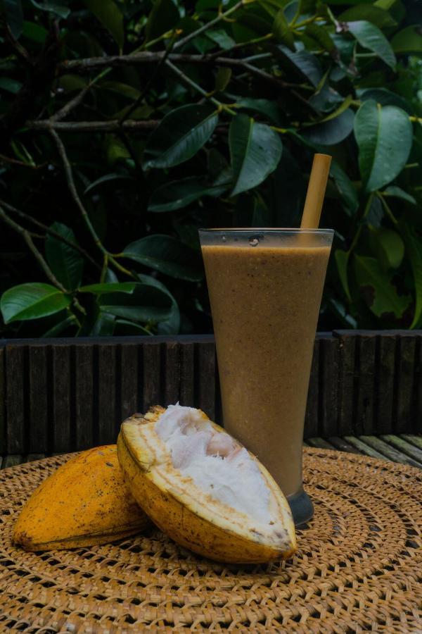 Bali Jungle By Amerta Experience * Selemadeg